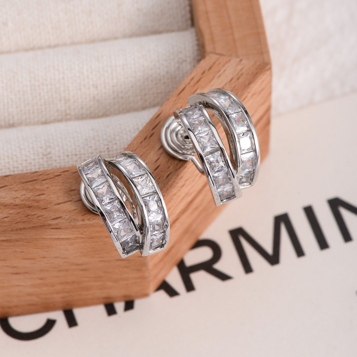 Double Hoop Zircon Earrings
