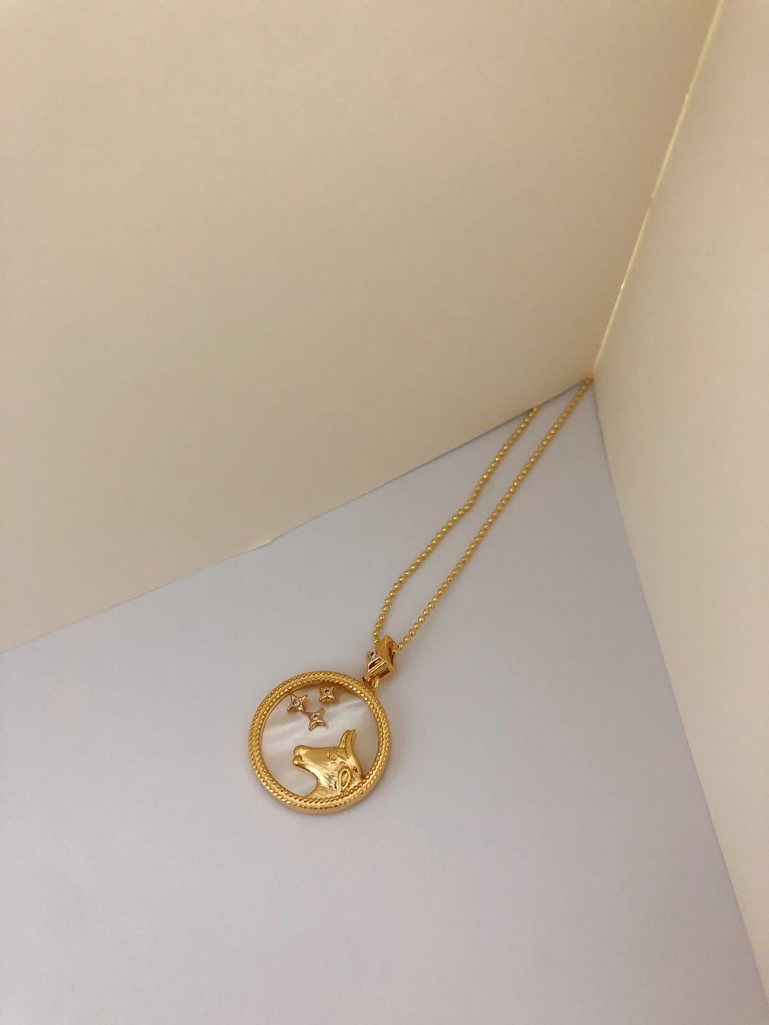 Twelve Constellations Shell Necklace