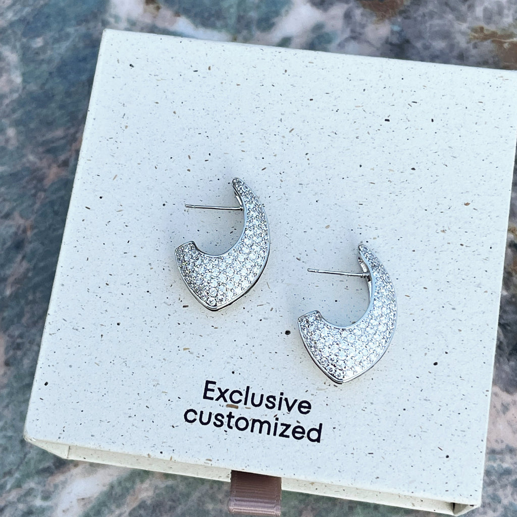 U-shaped Zircon Earrings